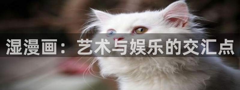 天堂漫画在线观看免费：湿漫画：艺术与娱乐的交汇点