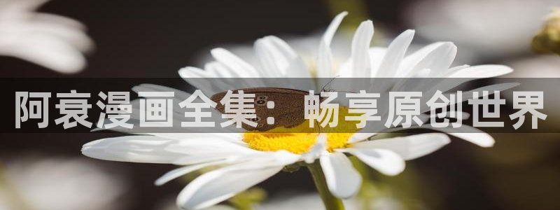 jmcomic天堂漫画：阿衰漫画全集：畅享原创世界